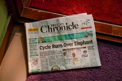 053-deccan-chronicle-2012-Kopie-2
